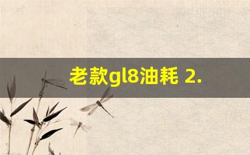 老款gl8油耗 2.4 油耗多少,买二手gl8的十句忠告